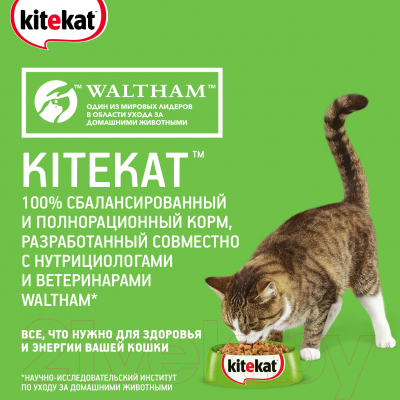 Влажный корм для кошек Kitekat С говядиной в желе