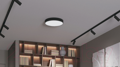 Потолочный светильник Maytoni Zon C032CL-24W3K-RD-B