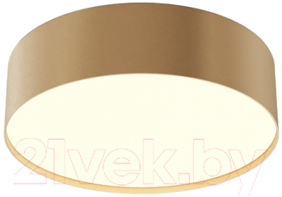 Потолочный светильник Maytoni Zon C032CL-24W3K-RD-MG - фото