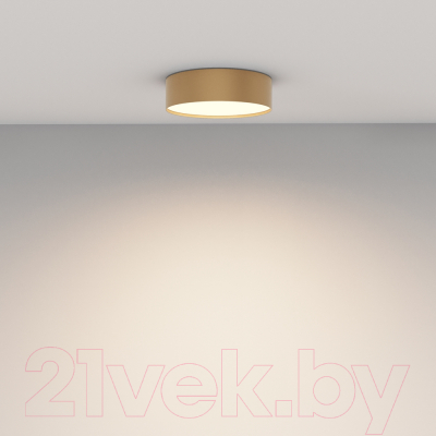 Потолочный светильник Maytoni Zon C032CL-24W3K-RD-MG