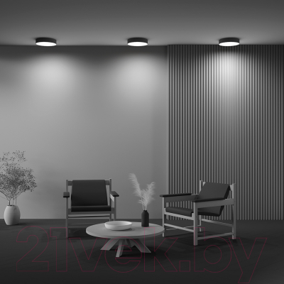 Потолочный светильник Maytoni Zon C032CL-36W3K-RD-B