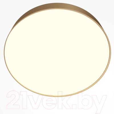 Потолочный светильник Maytoni Zon C032CL-45W3K-RD-MG