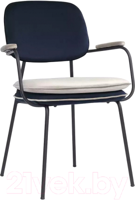 Стул Bergenson Bjorn Pea / BB0000701 - фото