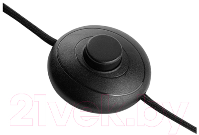 Торшер Bergenson Bjorn Palm Beams / BB0000571