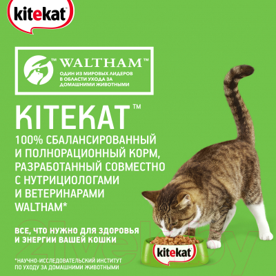 Влажный корм для кошек Kitekat С рыбой в соусе