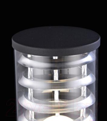 Светильник уличный Maytoni Bronx O576FL-01B