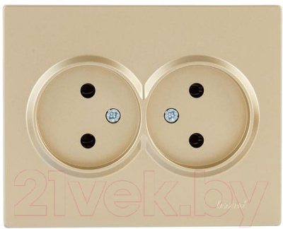 Розетка Lezard Vesna 742-3600-128B - фото