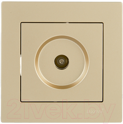 Розетка Lezard Vesna 742-3688-130