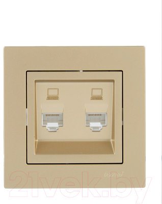 Розетка Lezard Vesna 742-3688-141