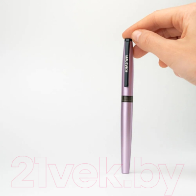 Ручка перьевая Малевичъ С конвертером + два картриджа / 196427