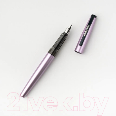 Ручка перьевая Малевичъ С конвертером + два картриджа / 196427