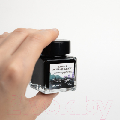 Чернила для перьевой ручки Малевичъ 195171