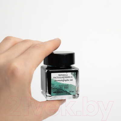 Чернила для перьевой ручки Малевичъ 195178