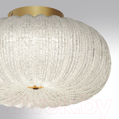 Потолочный светильник Sonex Angelo 7720/24L