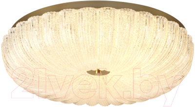 Потолочный светильник Sonex Tesoro 7719/60L