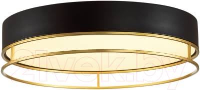 Потолочный светильник Sonex Lofty 7723/100L