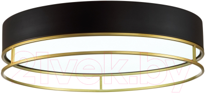 Потолочный светильник Sonex Lofty 7723/100L