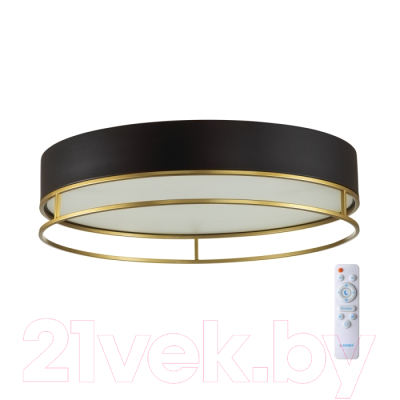 Потолочный светильник Sonex Lofty 7723/100L