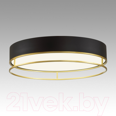 Потолочный светильник Sonex Lofty 7723/100L