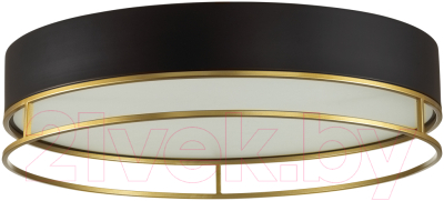 Потолочный светильник Sonex Lofty 7723/65L - фото