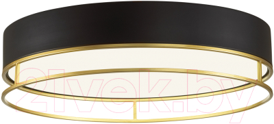 Потолочный светильник Sonex Lofty 7723/65L