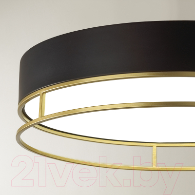 Потолочный светильник Sonex Lofty 7723/65L