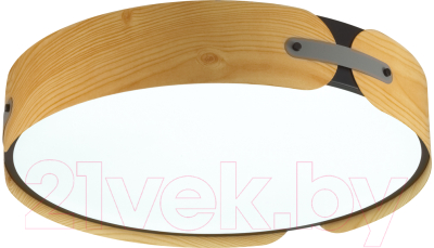 Потолочный светильник Sonex Coraggio 7721/120L