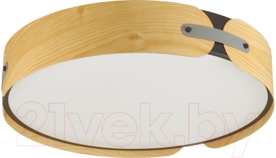 Потолочный светильник Sonex Coraggio 7721/100L - фото