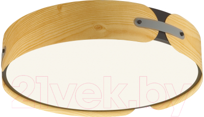 Потолочный светильник Sonex Coraggio 7721/100L