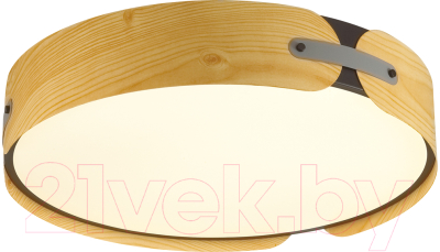 Потолочный светильник Sonex Coraggio 7721/65L