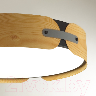 Потолочный светильник Sonex Coraggio 7721/65L