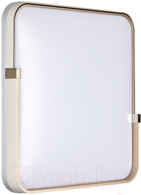 Потолочный светильник Sonex Olidi White 7680/EL - фото