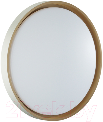 Потолочный светильник Sonex Kisil 7645/EL - фото