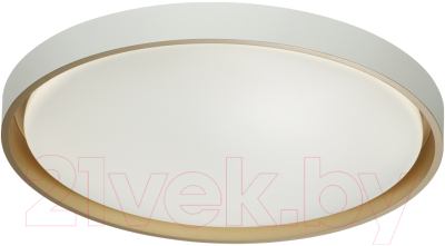 Потолочный светильник Sonex Kisil 7645/EL