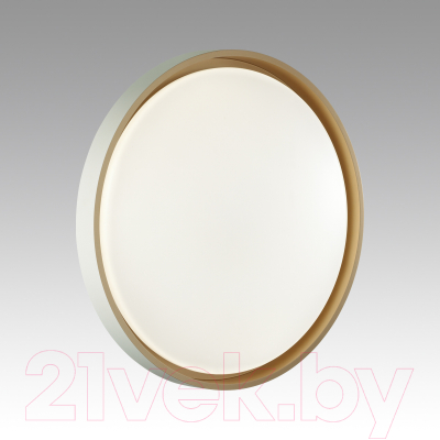 Потолочный светильник Sonex Kisil 7645/EL