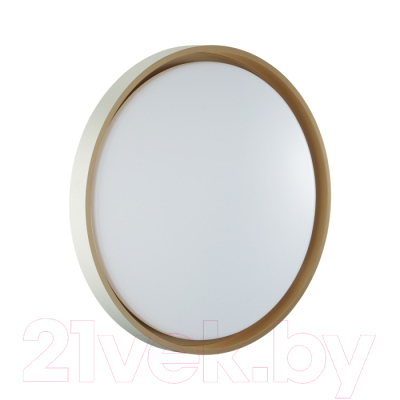 Потолочный светильник Sonex Kisil 7645/DL