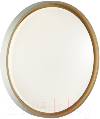 Потолочный светильник Sonex Kisil 7645/DL