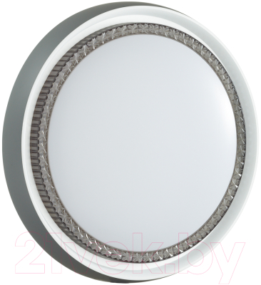 Потолочный светильник Sonex Rahig 7644/EL - фото