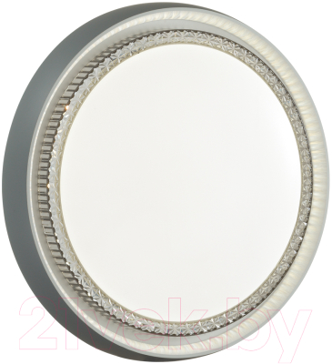 Потолочный светильник Sonex Rahig 7644/DL - фото