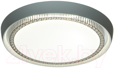 Потолочный светильник Sonex Rahig 7644/DL