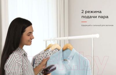 Отпариватель BQ SG1006H (черный/серебристый)