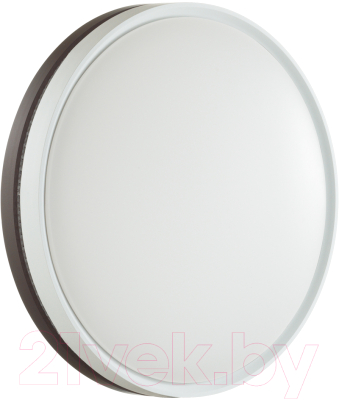 Потолочный светильник Sonex Nohava Brown 7668/EL - фото