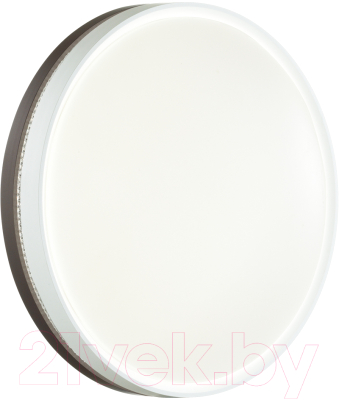 Потолочный светильник Sonex Nohava Brown 7668/DL - фото