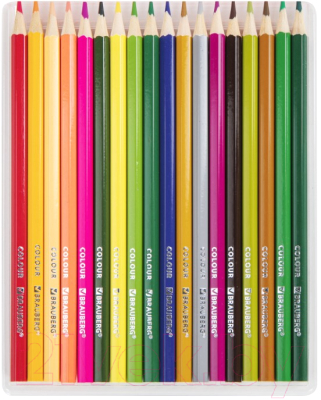 Набор цветных карандашей Brauberg Академия / 181867