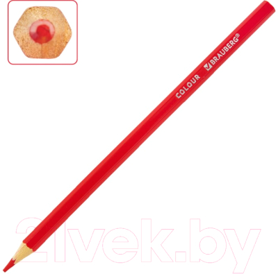 Набор цветных карандашей Brauberg Академия / 181867