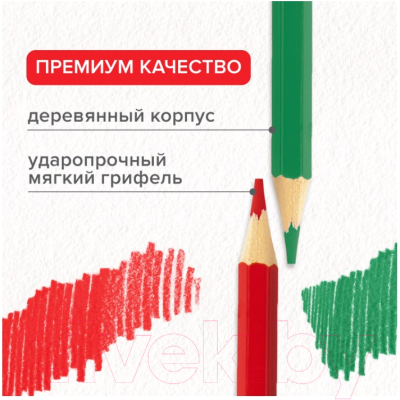 Набор цветных карандашей Brauberg Академия / 181867