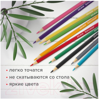 Набор цветных карандашей Brauberg Академия / 181867