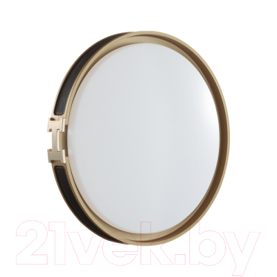 Потолочный светильник Sonex Favemo Black 7667/DL