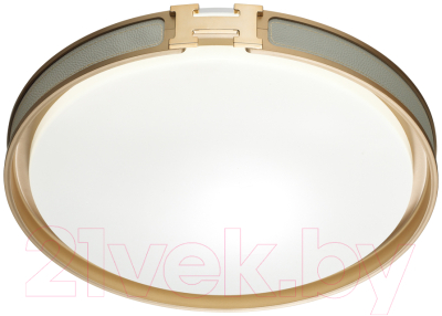 Потолочный светильник Sonex Favemo Grey 7654/DL - фото