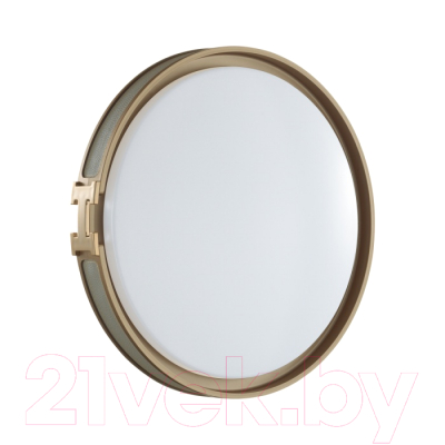 Потолочный светильник Sonex Favemo Grey 7654/DL